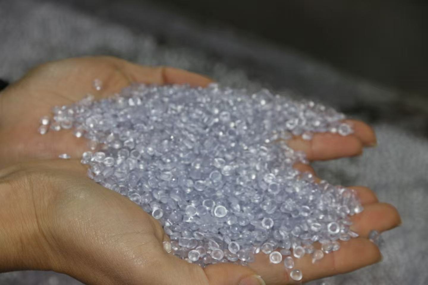 EcoTech Solutions Office